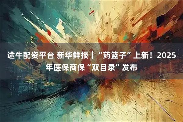 途牛配资平台 新华鲜报｜“药篮子”上新！2025年医保商保“双目录”发布