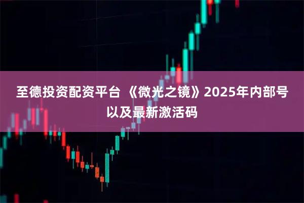 至德投资配资平台 《微光之镜》2025年内部号以及最新激活码