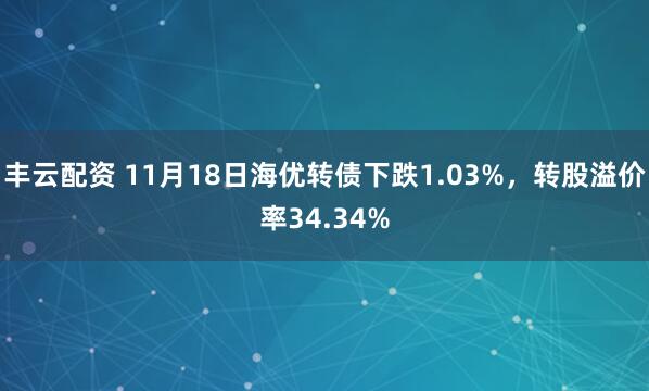 丰云配资 11月18日海优转债下跌1.03%，转股溢价率34.34%