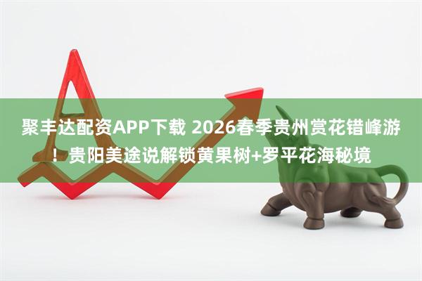 聚丰达配资APP下载 2026春季贵州赏花错峰游！贵阳美途说解锁黄果树+罗平花海秘境