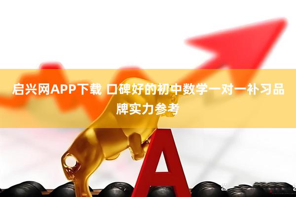 启兴网APP下载 口碑好的初中数学一对一补习品牌实力参考